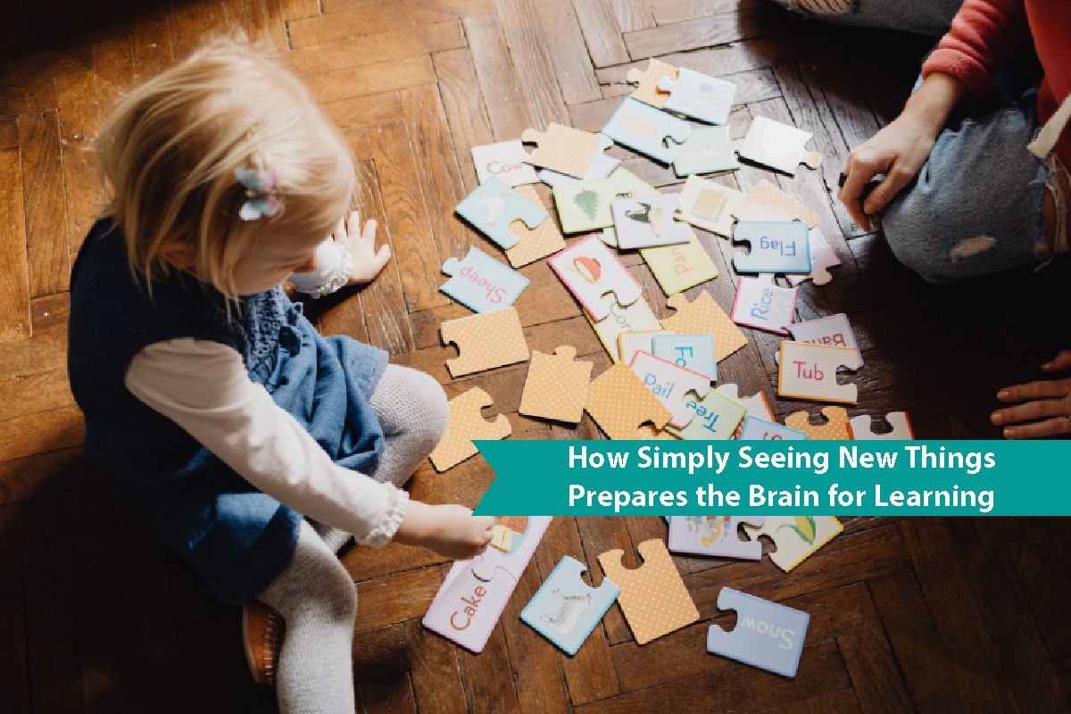New Things Prepares the Brain for Learning